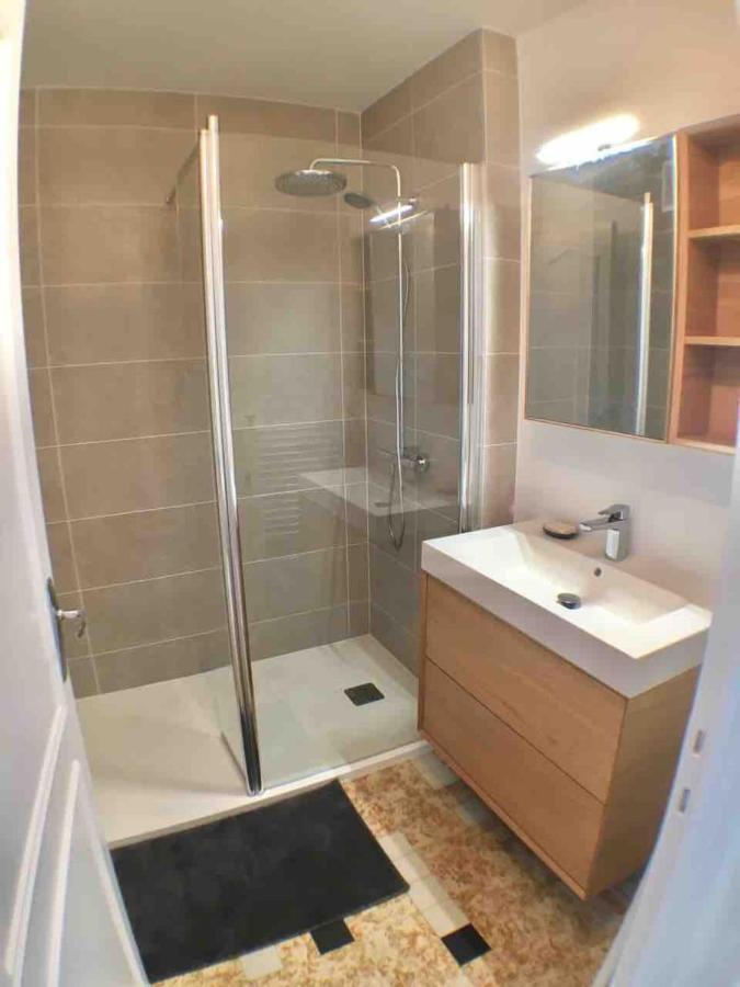 Annecy Center 2 Steps From The Lake Cozy And Renovated! מראה חיצוני תמונה