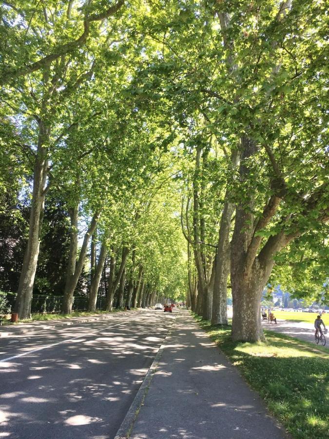 Annecy Center 2 Steps From The Lake Cozy And Renovated! מראה חיצוני תמונה